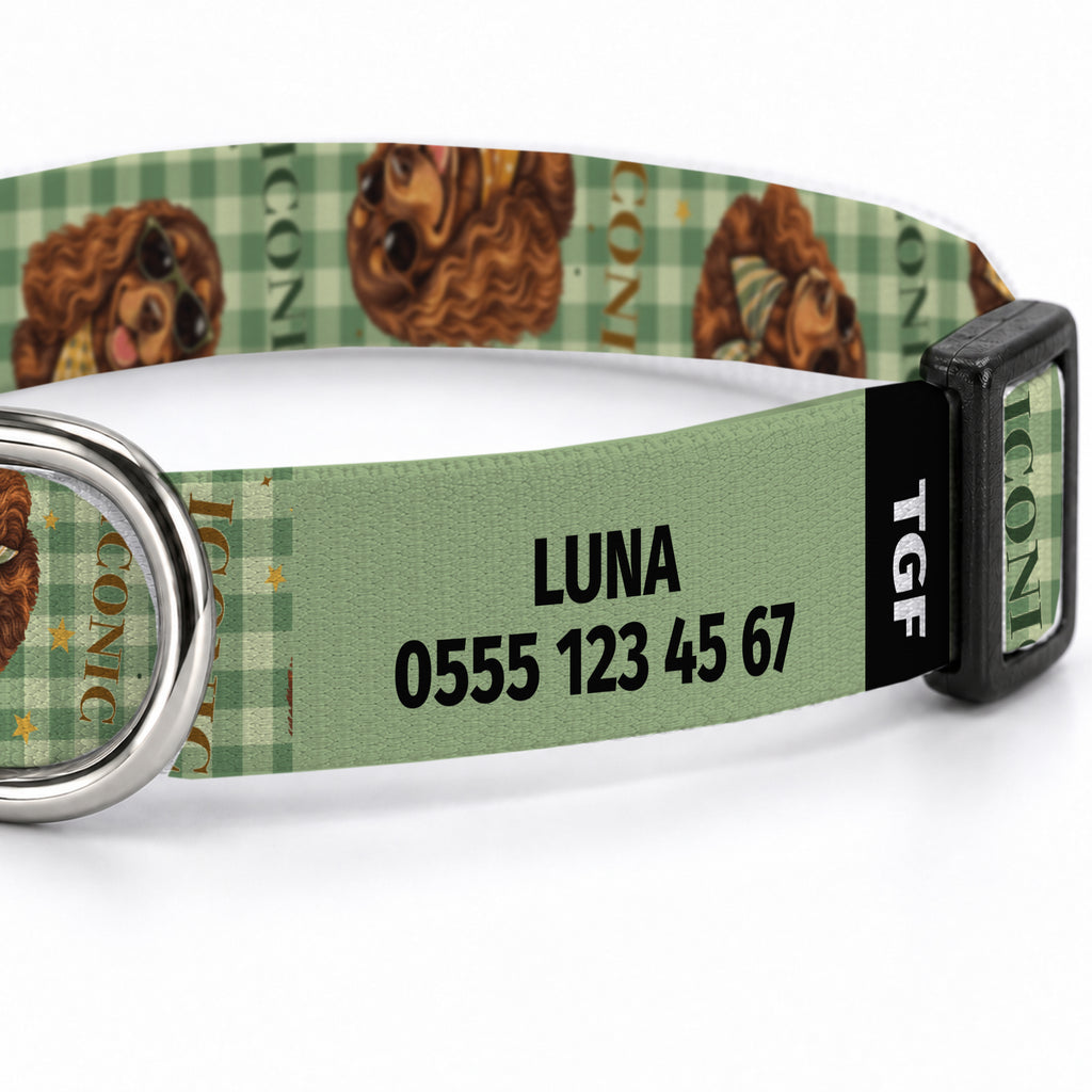 Cocker Check Köpek Tasması – Yakin Cekim