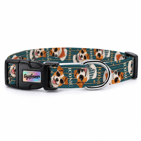 Jack Stripe Köpek Tasması – Urun