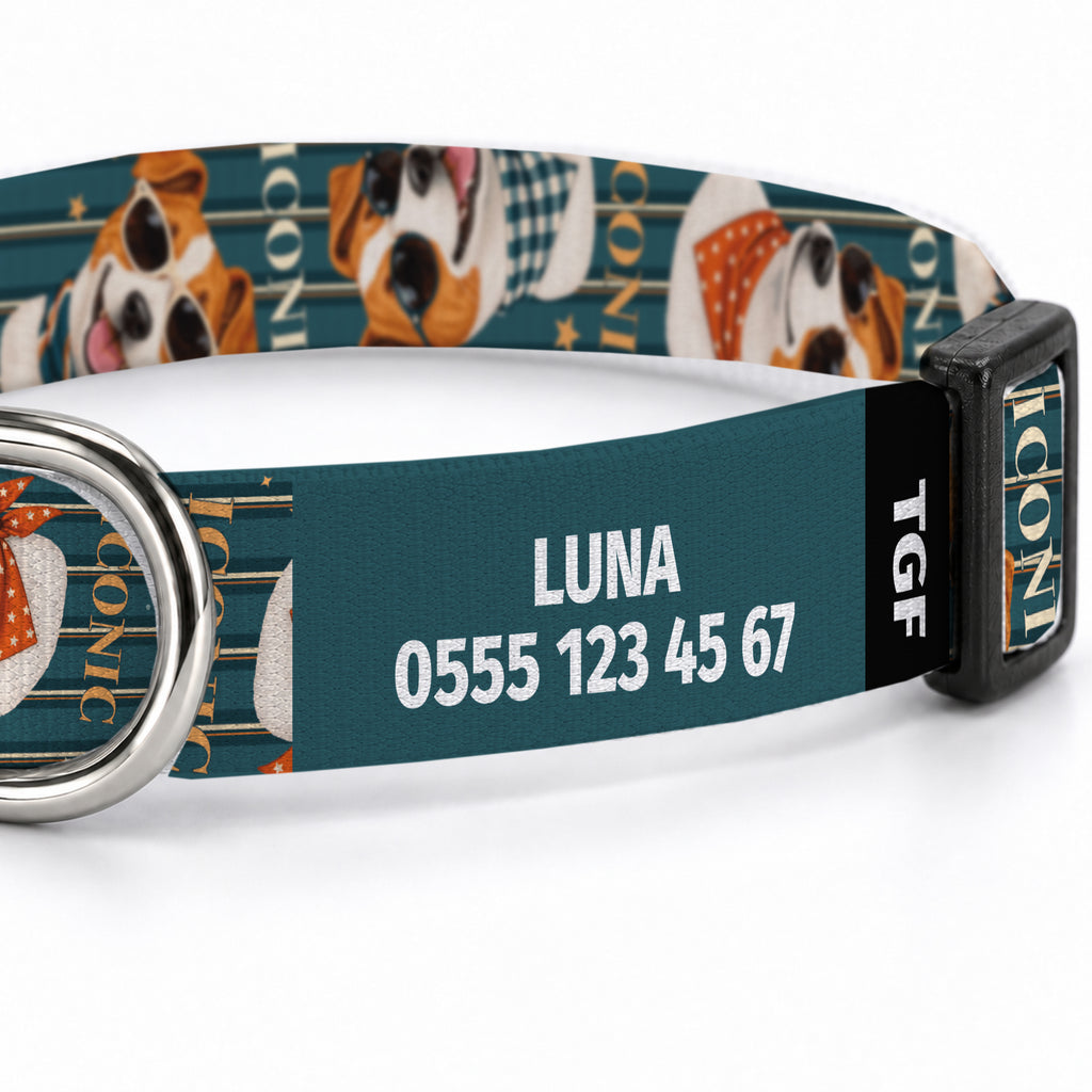 Jack Stripe Köpek Tasması – Yakin Cekim