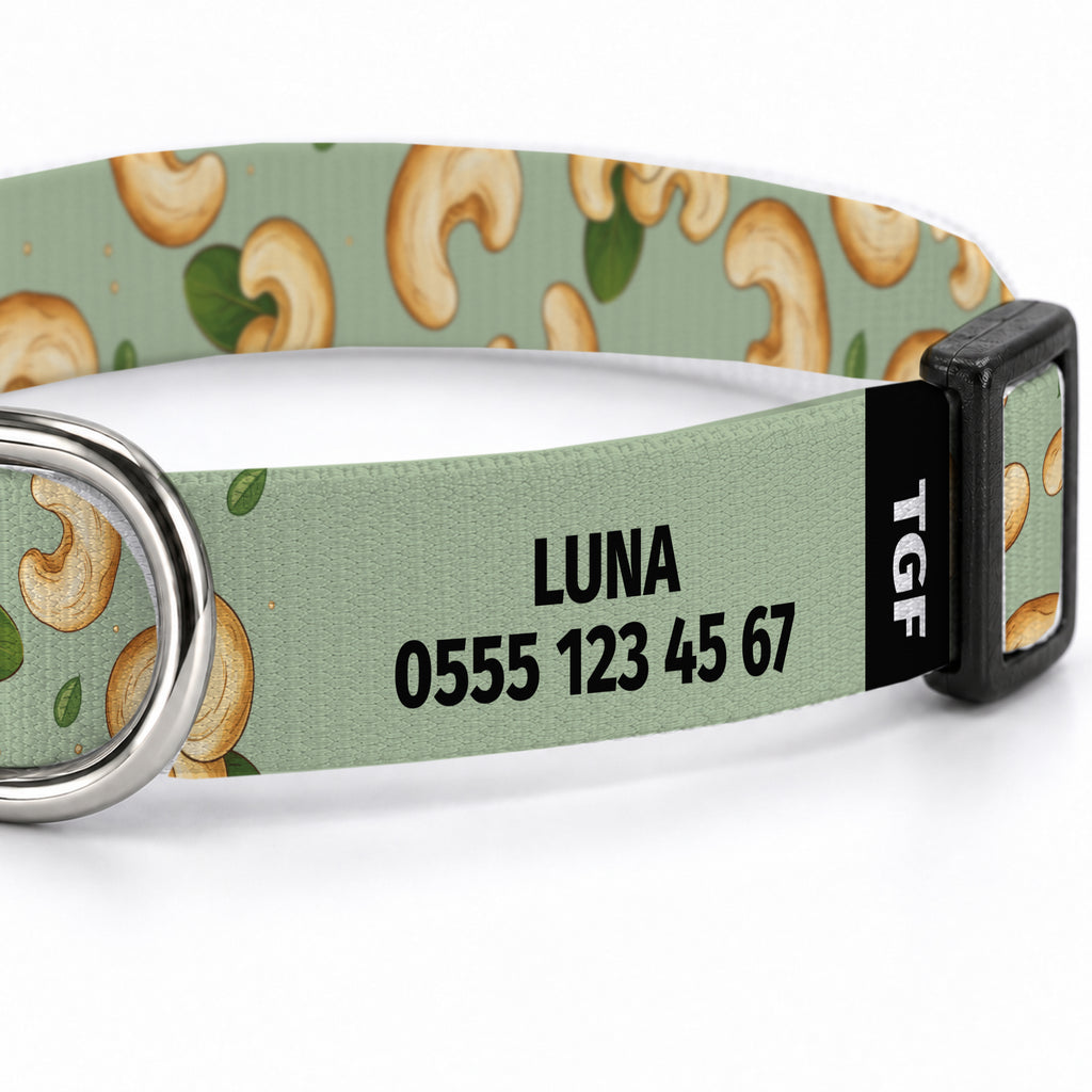 Nut Leaf Köpek Tasması – Yakin Cekim