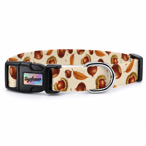 Chestnut Köpek Tasması – Urun