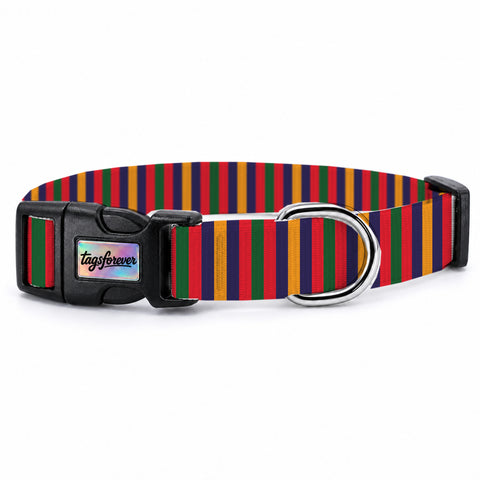 Color Stripe Köpek Tasması – Urun