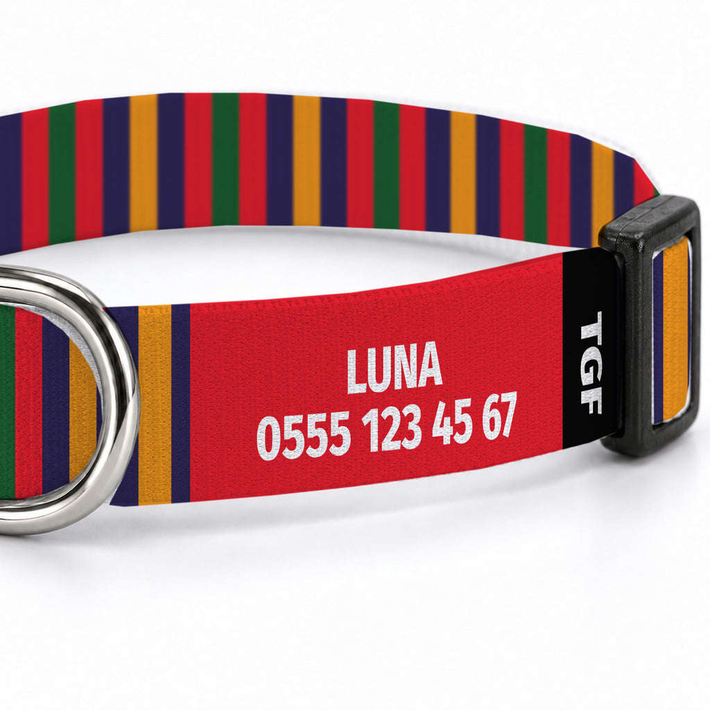 Color Stripe Köpek Tasması – Yakin Cekim