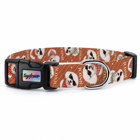 Maltese Stripe Köpek Tasması – Urun