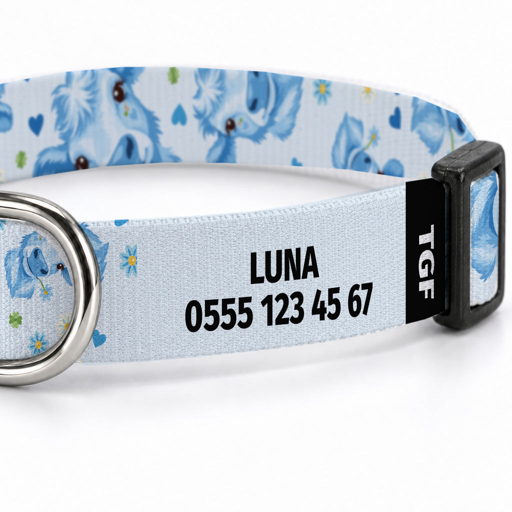 Blue Moo Köpek Tasması – Yakin Cekim