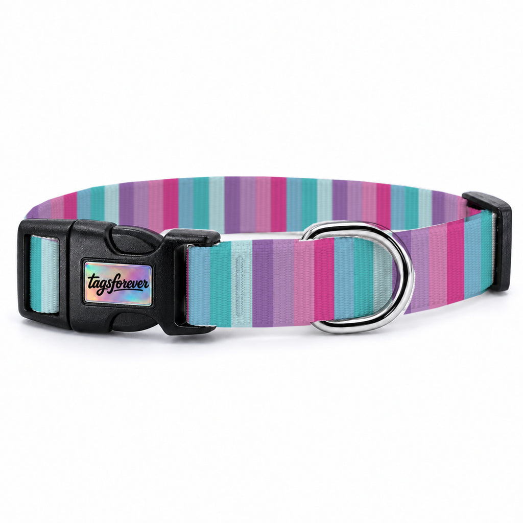 Candy Stripe Köpek Tasması – Urun
