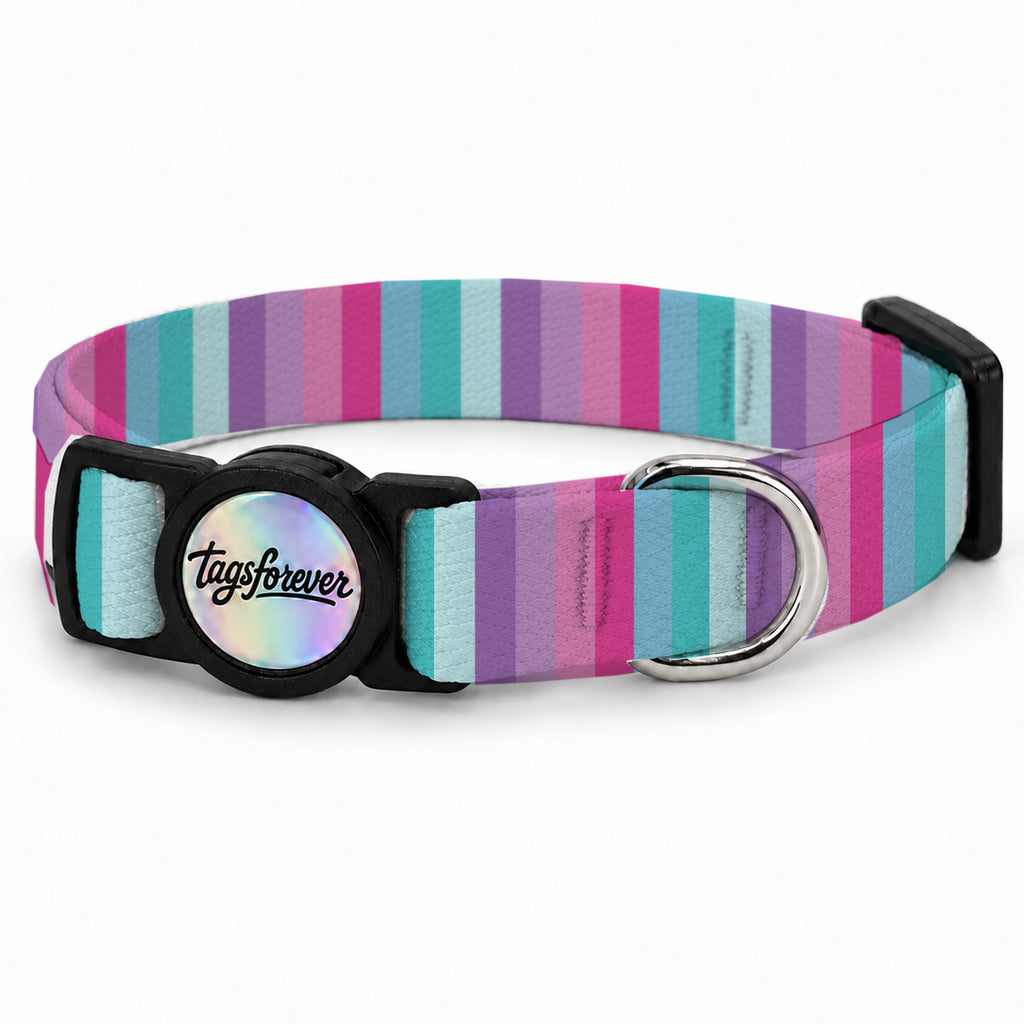 Candy Stripe Kedi Tasması – Urun