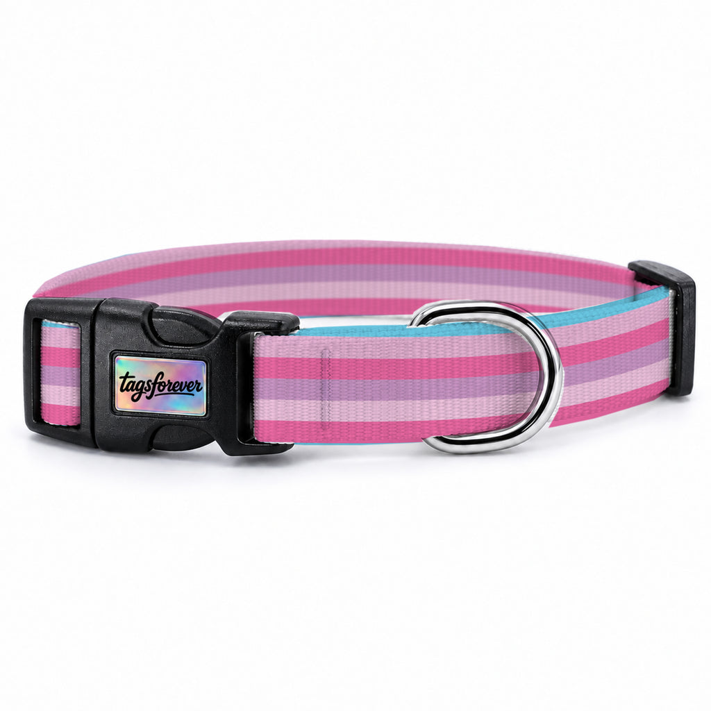 Pastel Stripe Köpek Tasması – Urun
