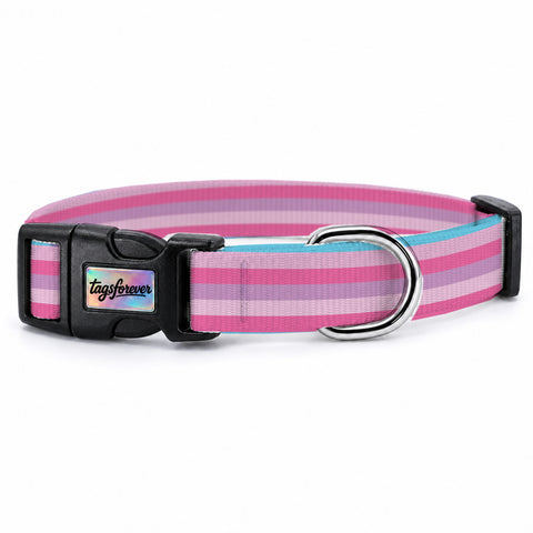Pastel Stripe Köpek Tasması – Urun