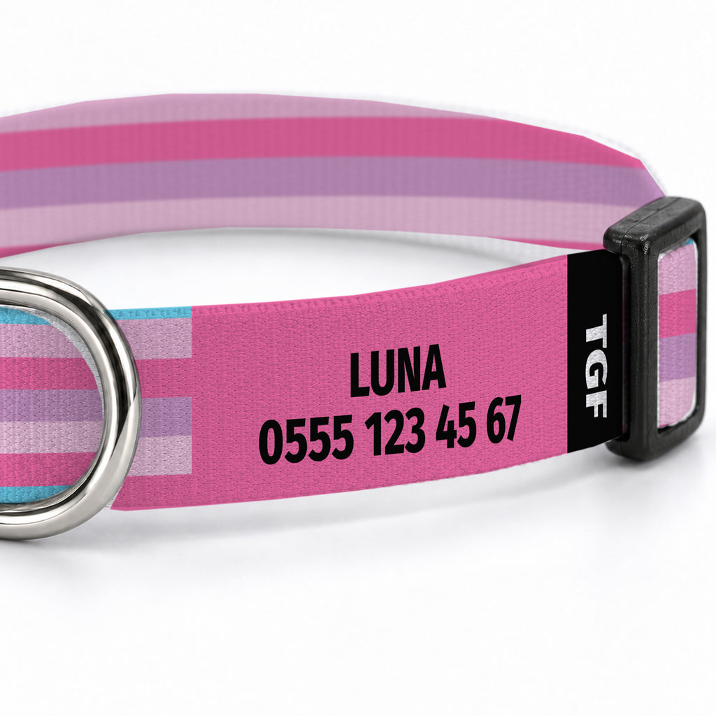 Pastel Stripe Köpek Tasması – Yakin Cekim