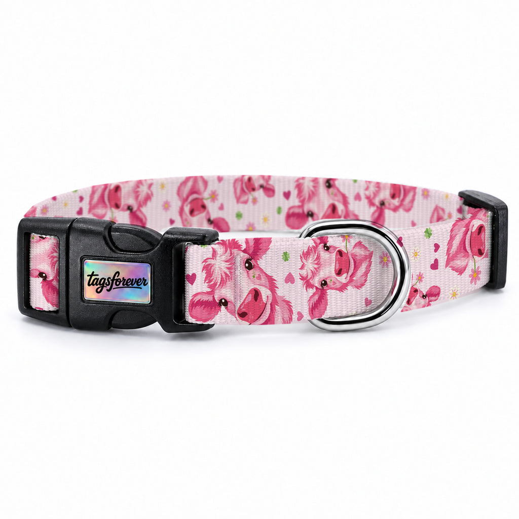 Pink Moo Köpek Tasması – Urun