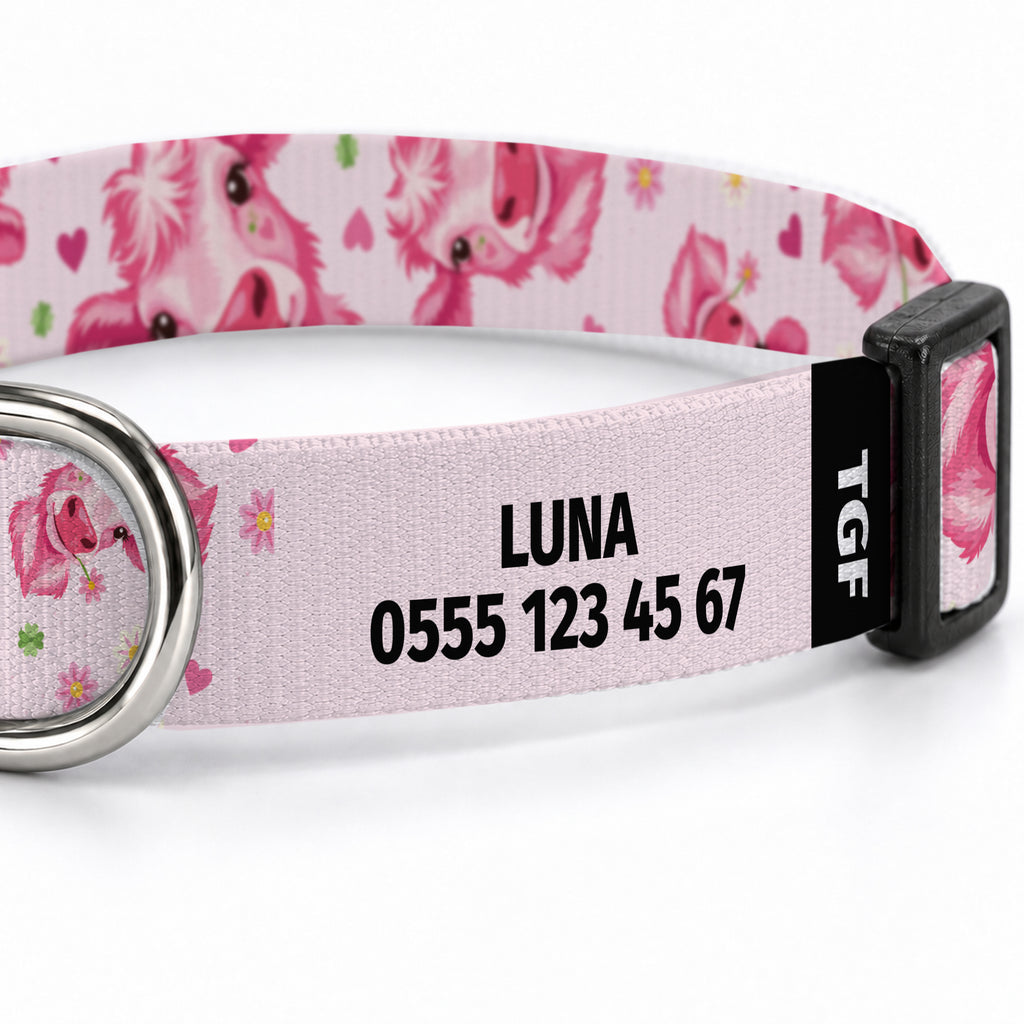 Pink Moo Köpek Tasması – Yakin Cekim