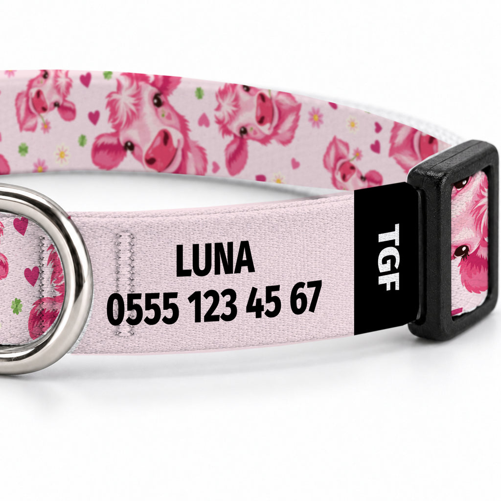 Pink Moo Kedi Tasması – Yakin Cekim