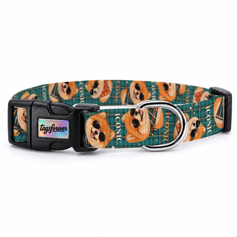 Teddy Check Köpek Tasması – Urun