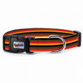 Amber Stripe Köpek Tasması – Urun