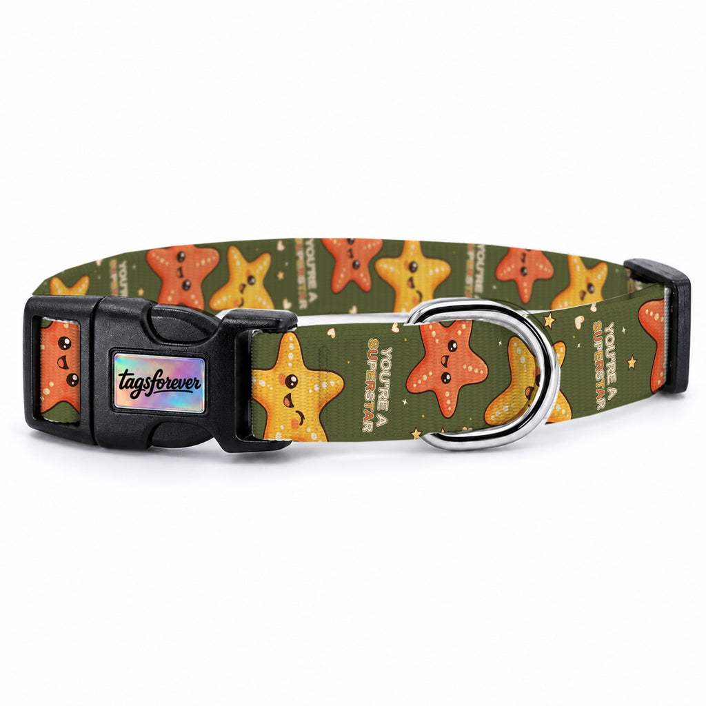 Starfish Köpek Tasması – Urun