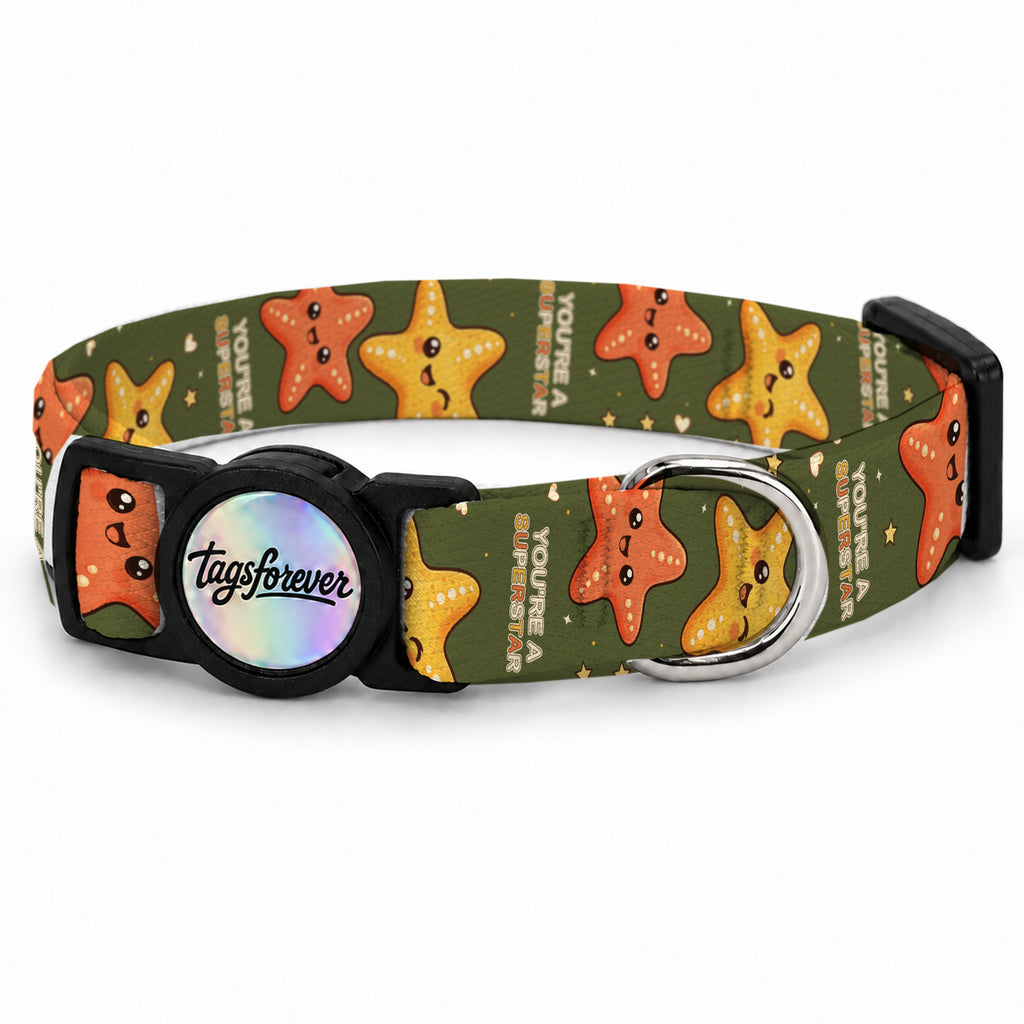 Starfish Kedi Tasması – Urun