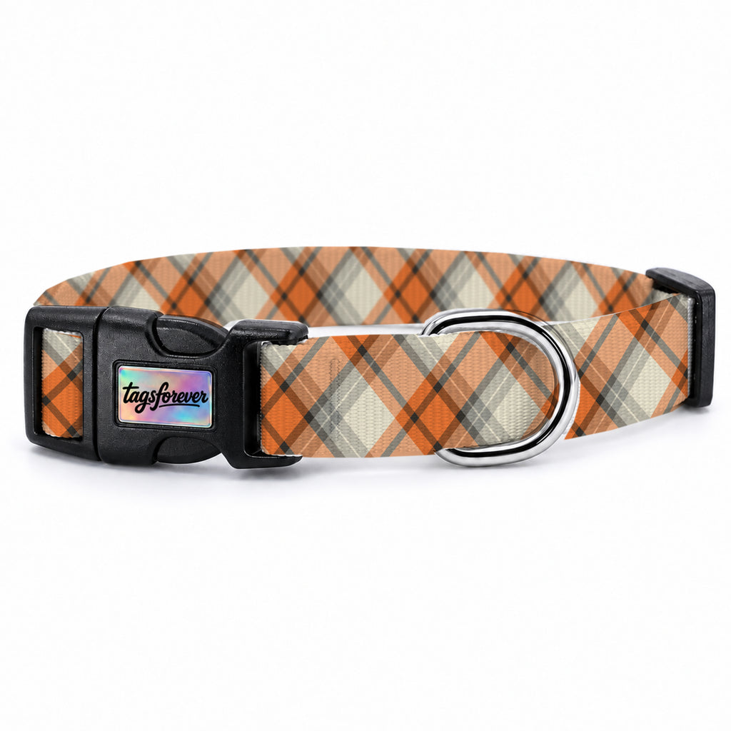 Orange Check Köpek Tasması – Urun