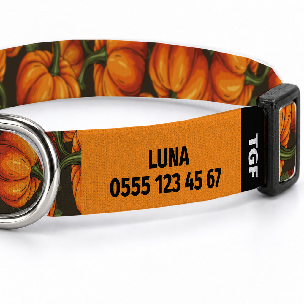 Pumpkin Köpek Tasması – Yakin Cekim