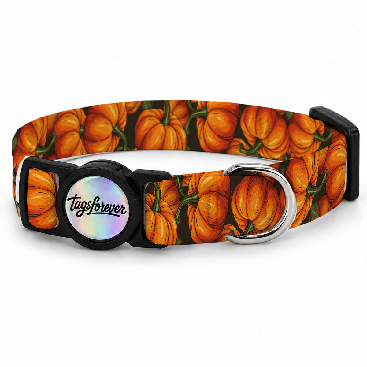 Pumpkin Kedi Tasması – Urun