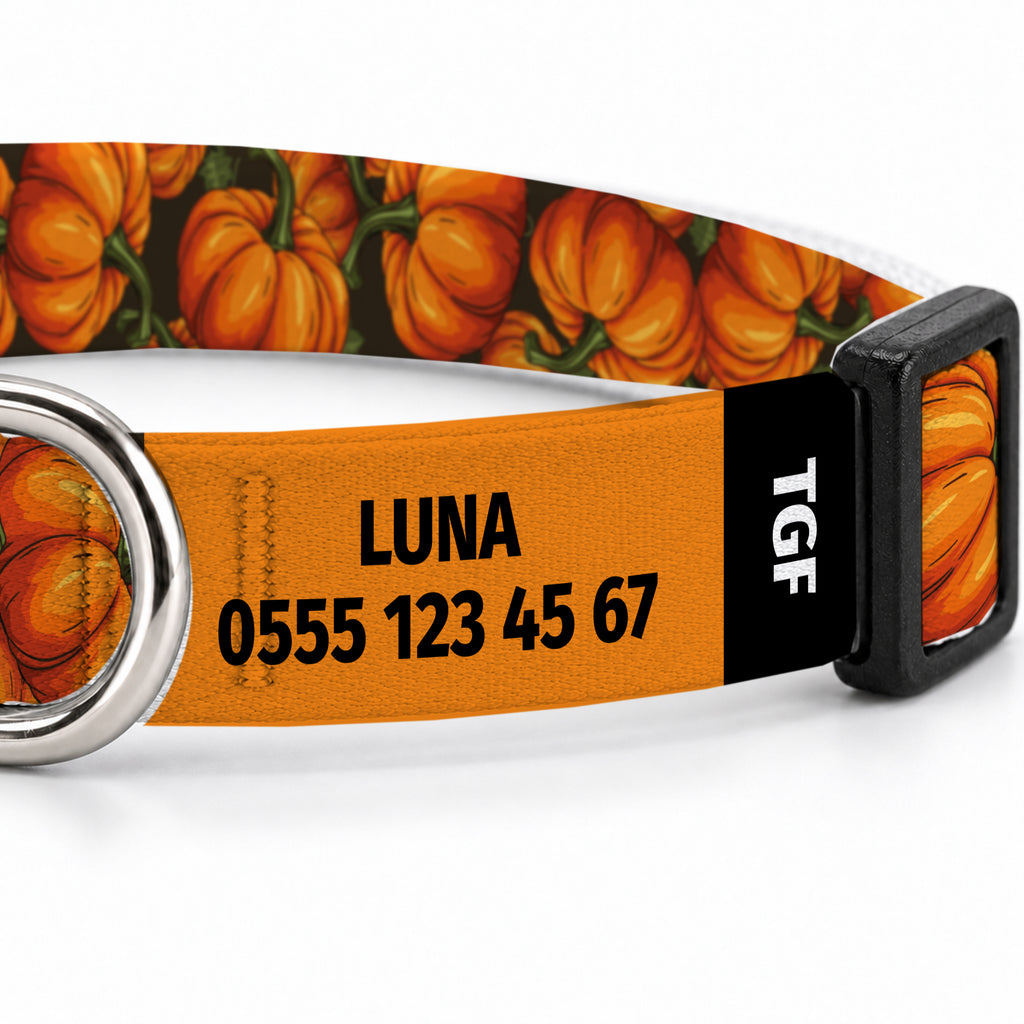 Pumpkin Kedi Tasması – Yakin Cekim