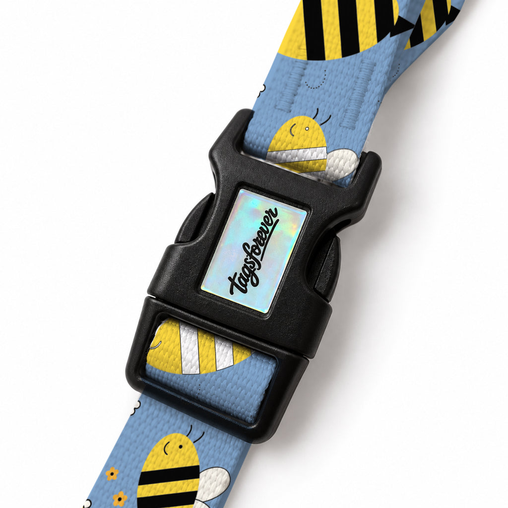 Buzzy Blue EasyFit Köpek Tasması – Klips