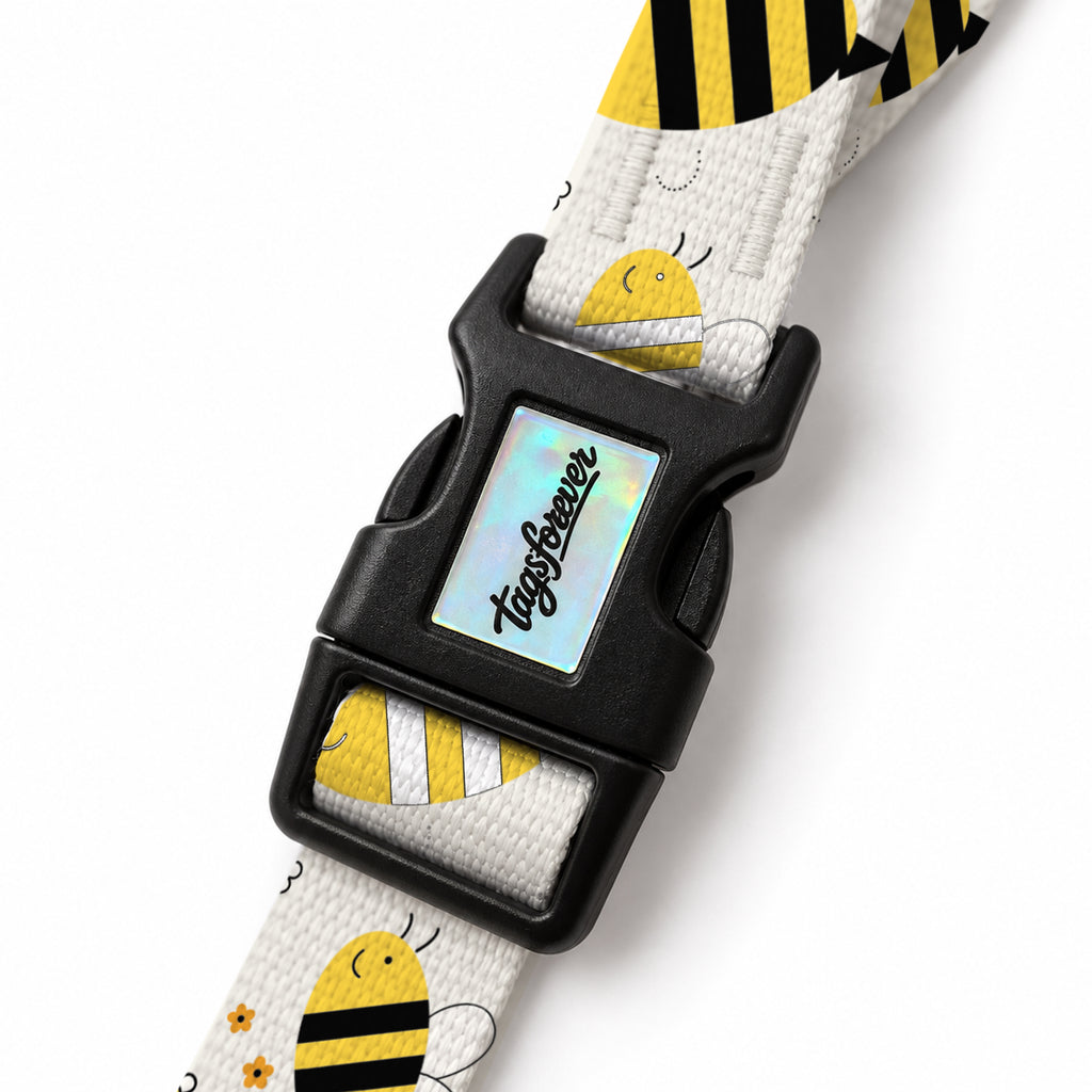 Buzzy Cream EasyFit Köpek Tasması – Klips
