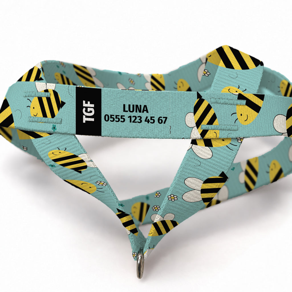 Buzzy Aqua EasyFit Köpek Tasması – Yakin Cekim