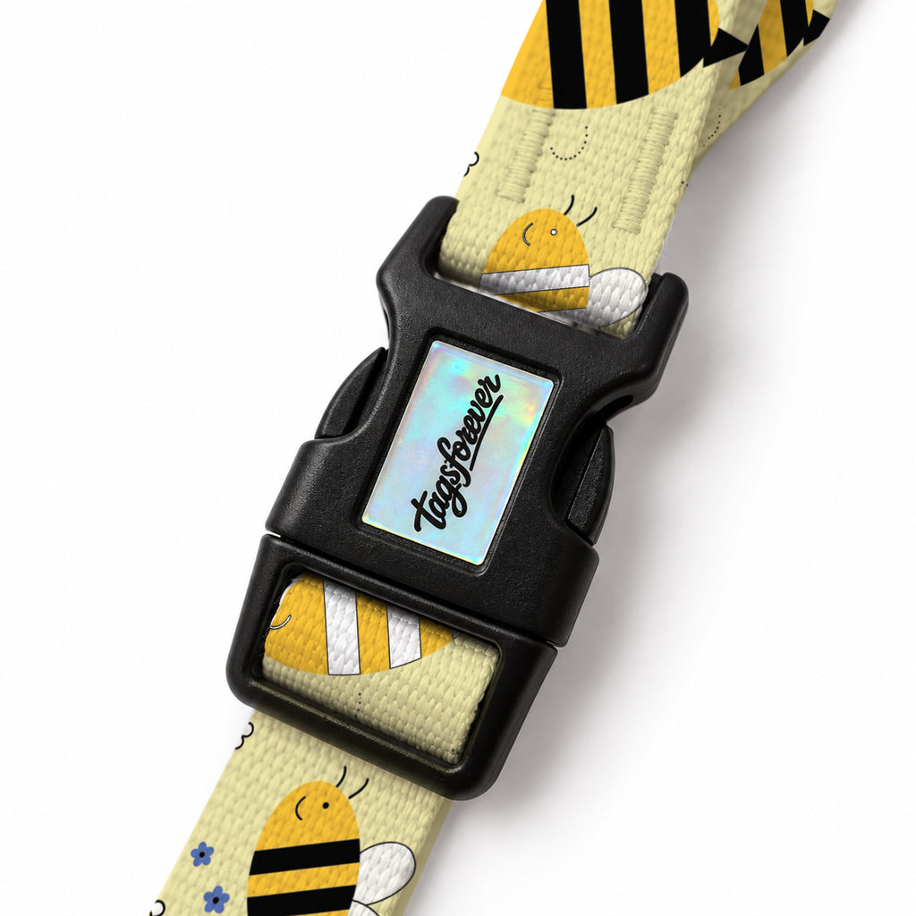 Buzzy Lemon EasyFit Köpek Tasması – Klips