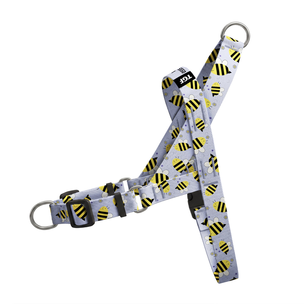 Buzzy Purple EasyFit Köpek Tasması – Urun