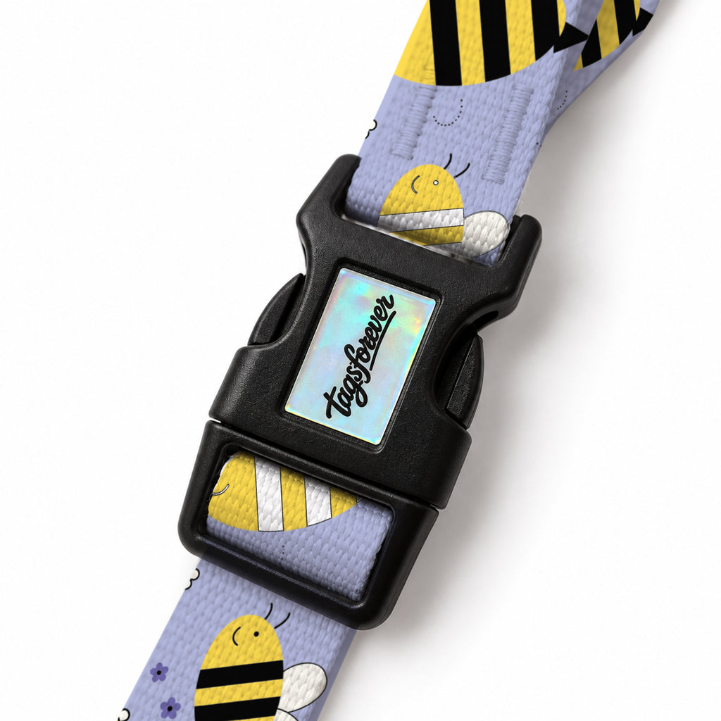 Buzzy Purple EasyFit Köpek Tasması – Klips