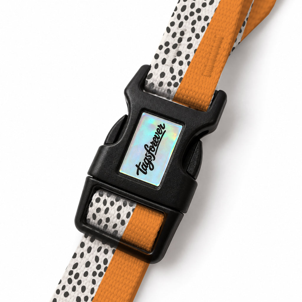 Spot Orange EasyFit Köpek Tasması – Klips