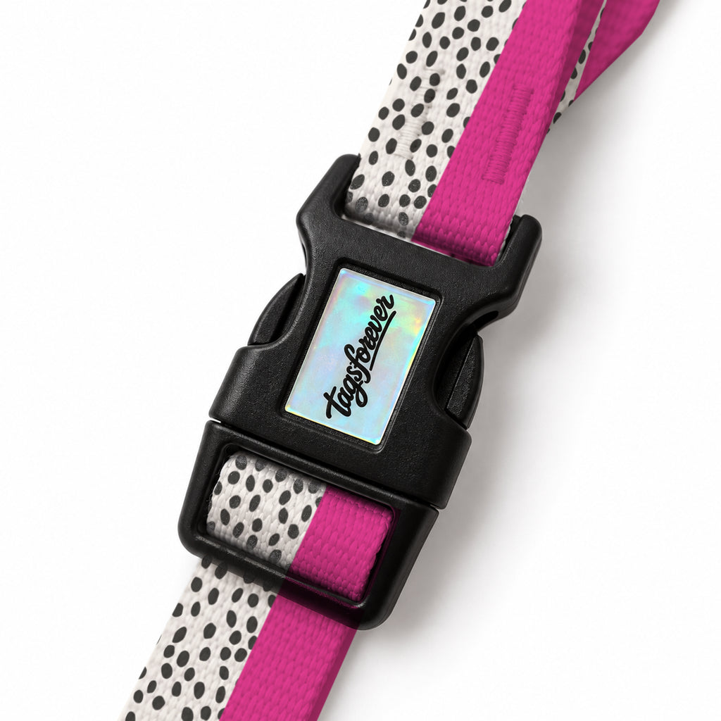 Spot Berry EasyFit Köpek Tasması – Klips