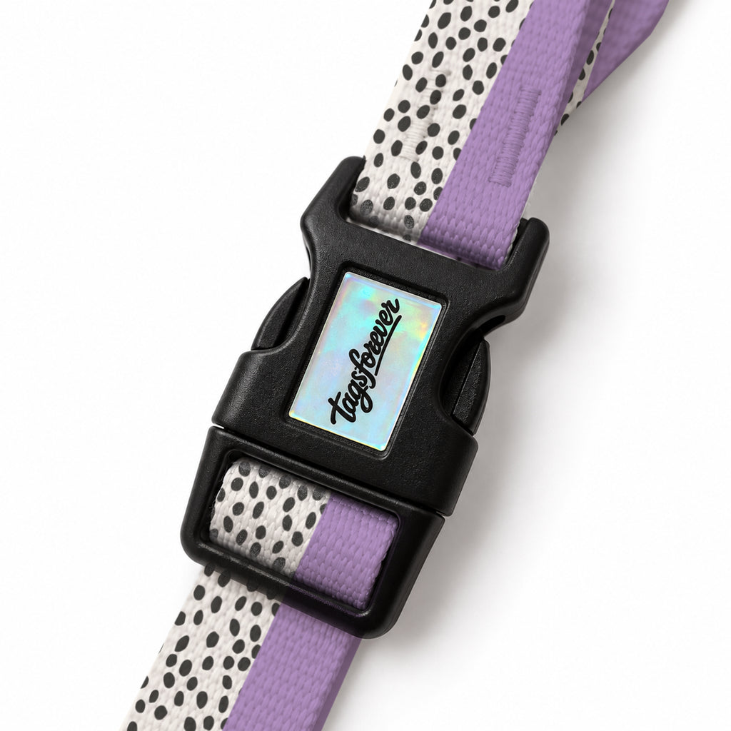 Spot Lilac EasyFit Köpek Tasması – Klips
