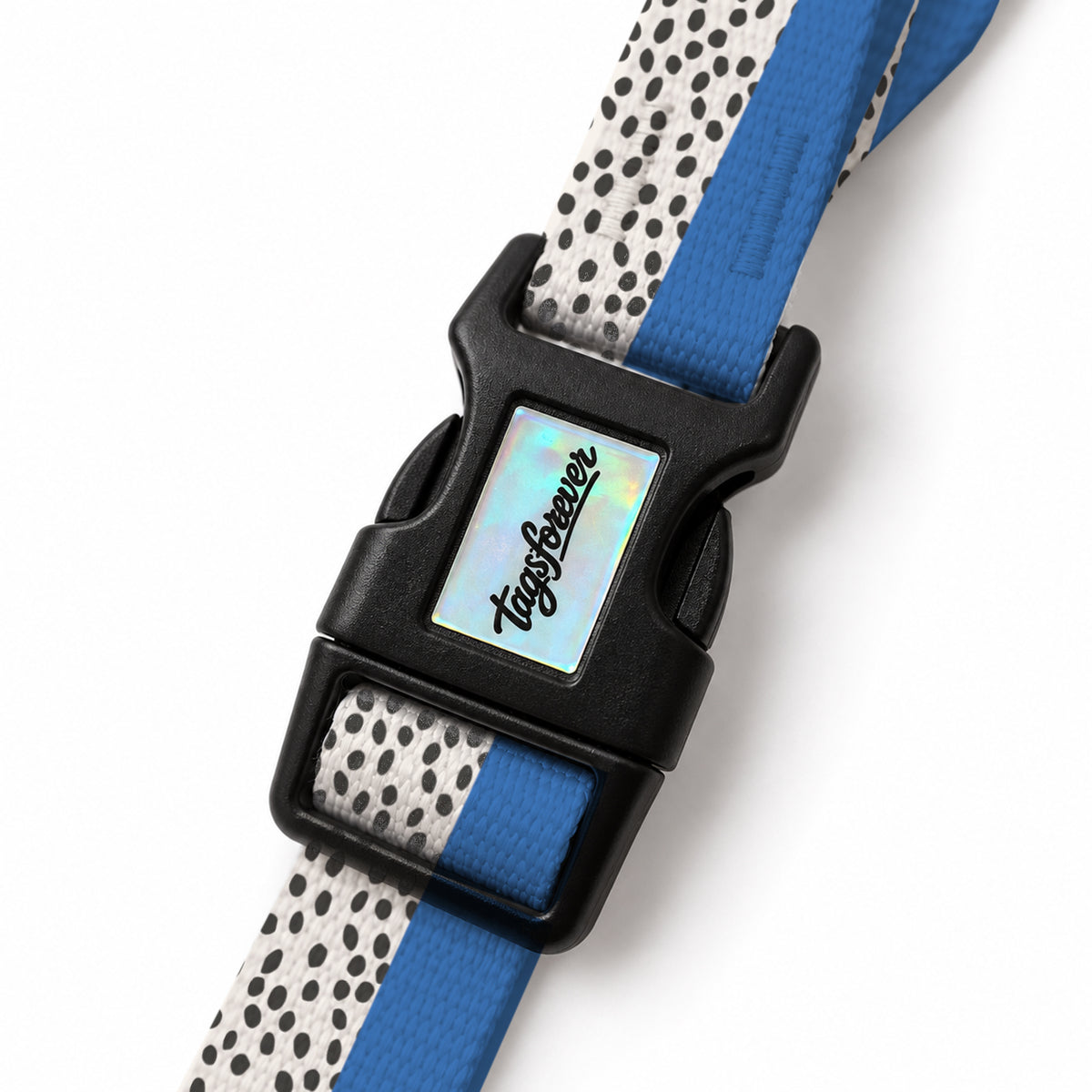 Spot Blue EasyFit Köpek Tasması – Klips