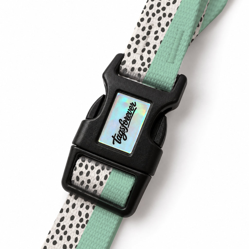 Spot Mint EasyFit Köpek Tasması – Klips
