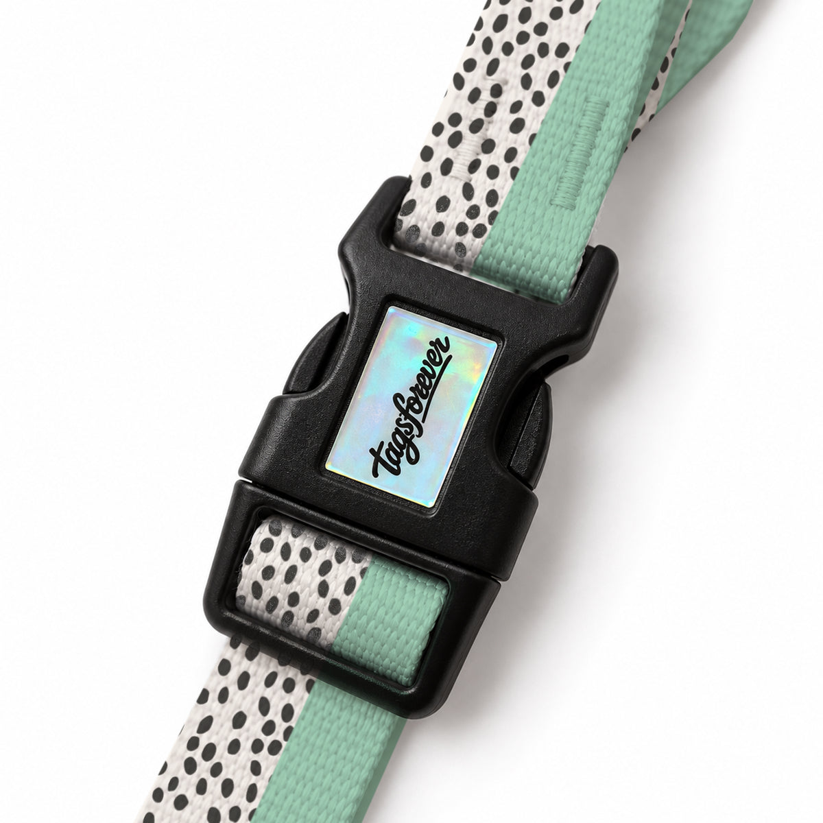 Spot Mint EasyFit Köpek Tasması – Klips