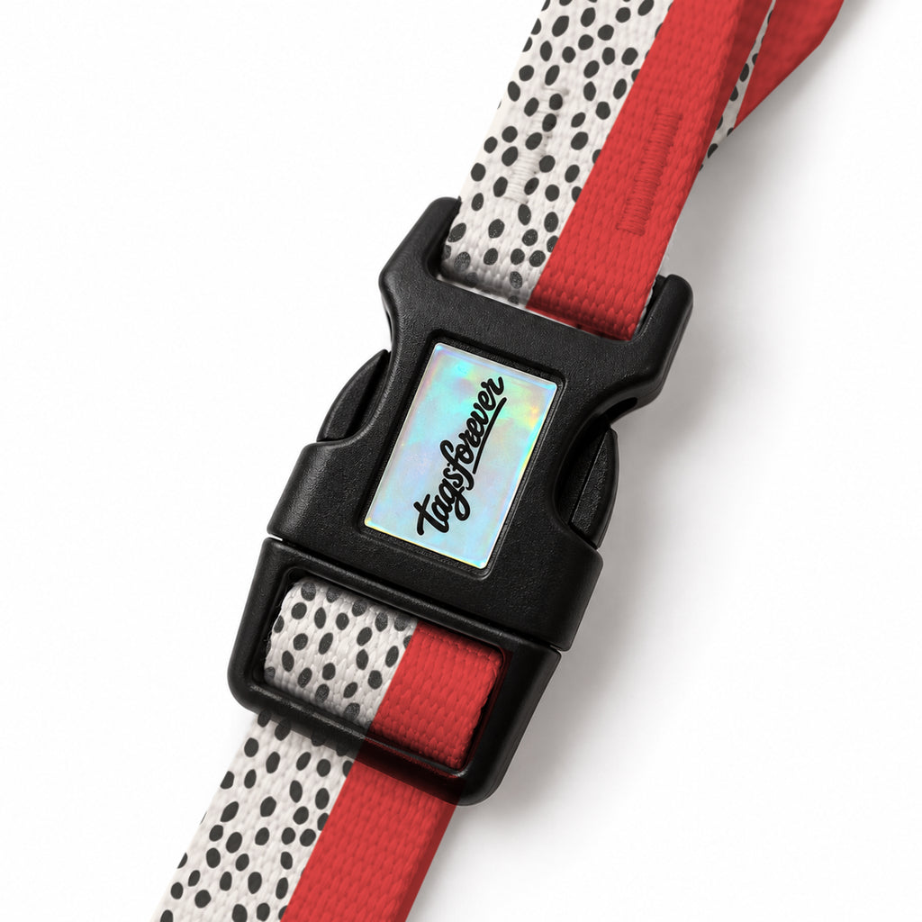 Spot Red EasyFit Köpek Tasması – Klips