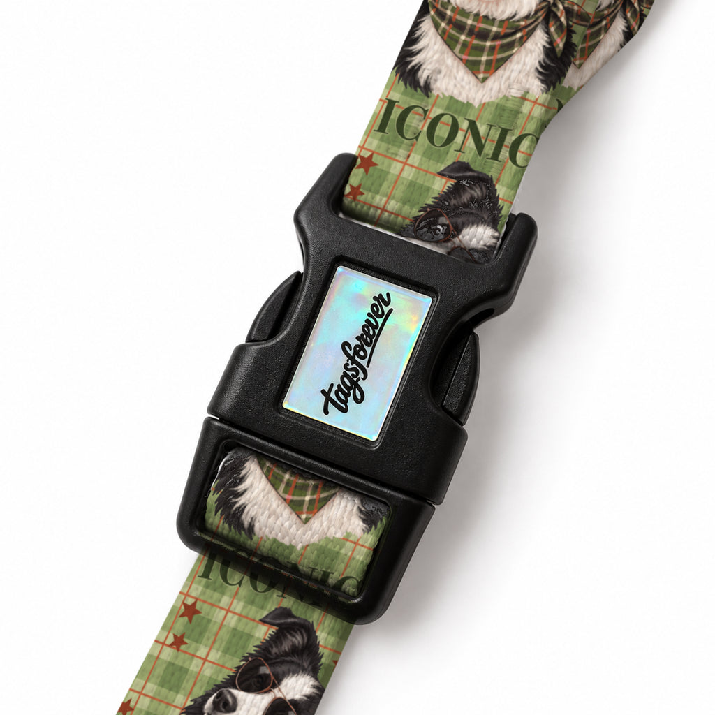 Collie Olive EasyFit Köpek Tasması – Klips