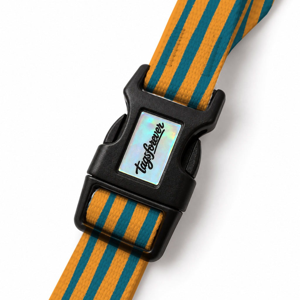 Brush Sea EasyFit Köpek Tasması – Klips