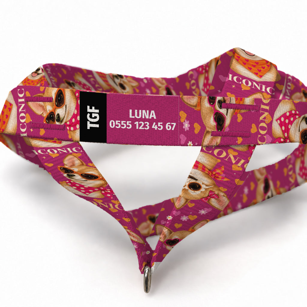 Chica Love EasyFit Köpek Tasması – Yakin Cekim