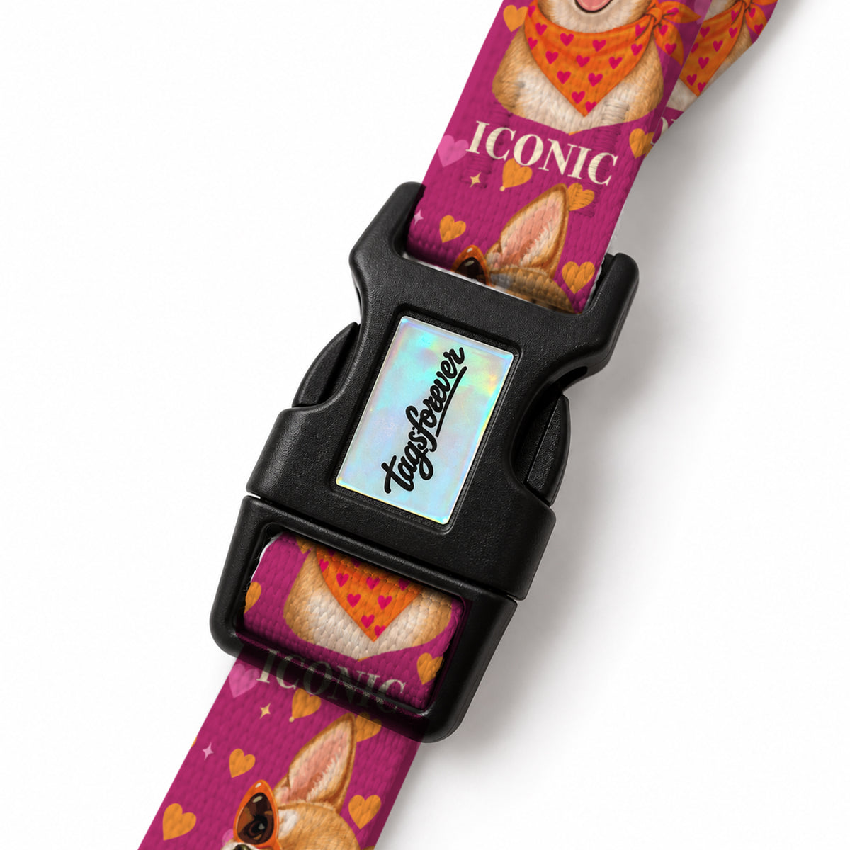 Chica Love EasyFit Köpek Tasması – Klips
