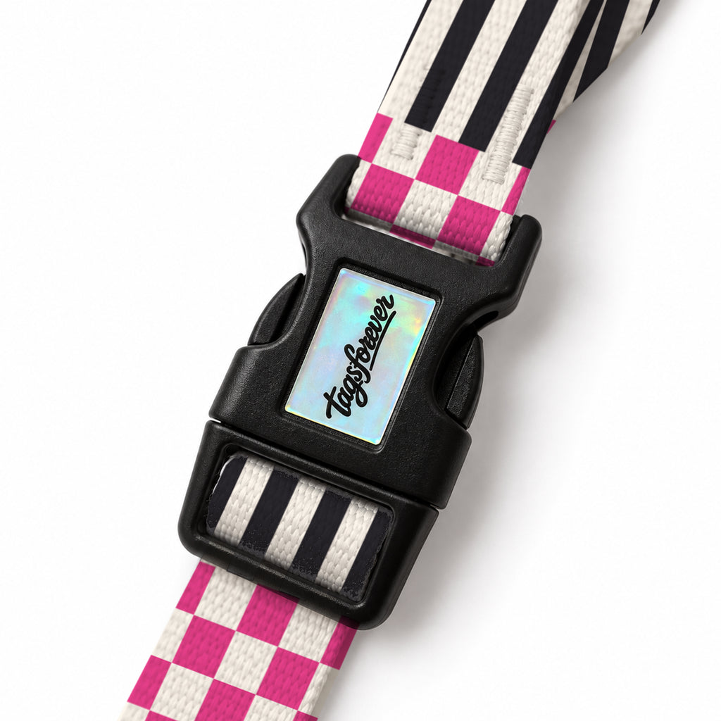 Epic Mix EasyFit Köpek Tasması – Klips