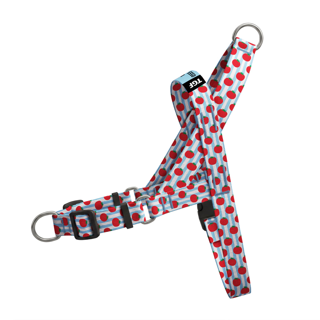 Tomato Wave EasyFit Köpek Tasması – Urun