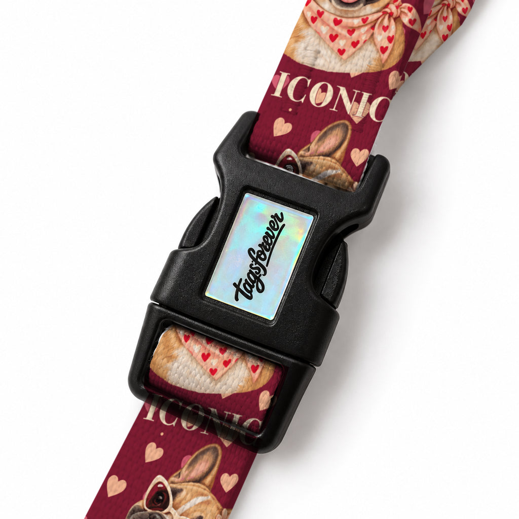Frenchie Love EasyFit Köpek Tasması – Klips
