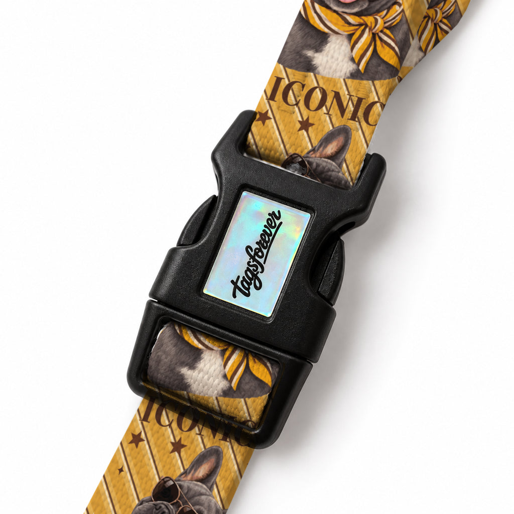 Frenchie Stripe EasyFit Köpek Tasması – Klips