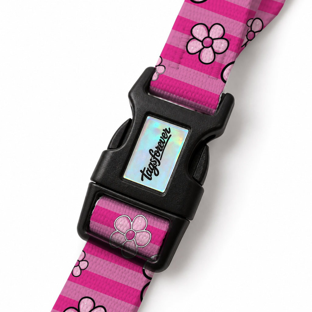 Flower Stripe EasyFit Köpek Tasması – Klips