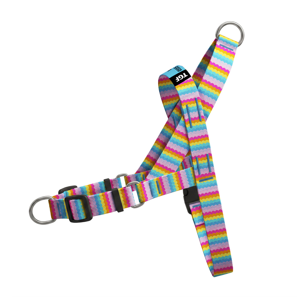 Rainbow Loop EasyFit Köpek Tasması – Urun