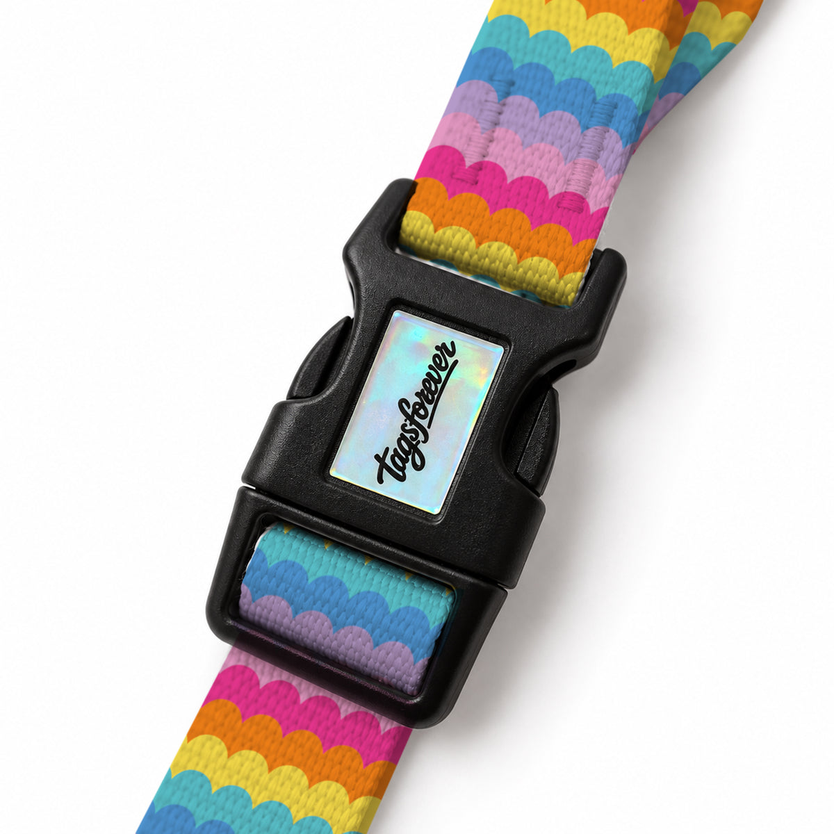 Rainbow Loop EasyFit Köpek Tasması – Klips