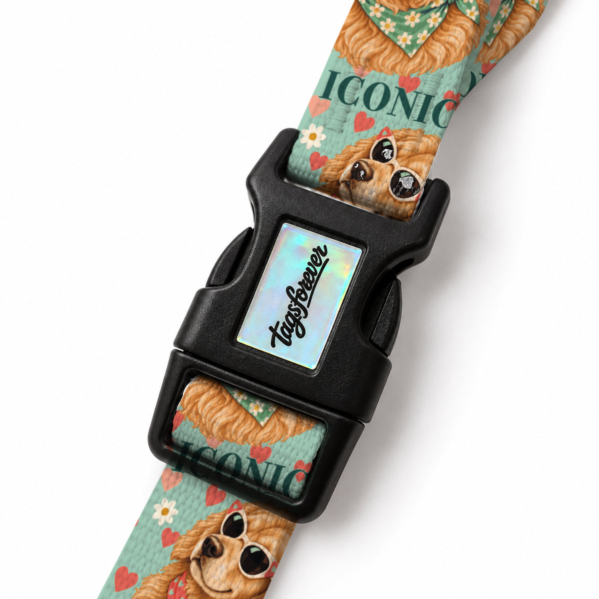 Golden Love EasyFit Köpek Tasması – Klips